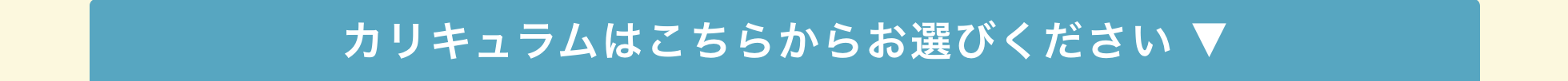 カリキュラムはこちらからお選びください ▼