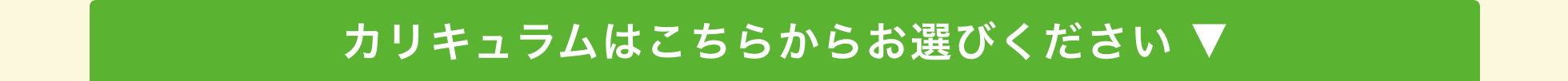 カリキュラムはこちらからお選びください ▼