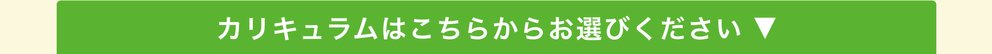 カリキュラムはこちらからお選びください ▼