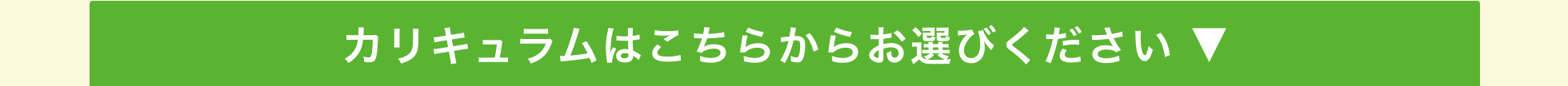 カリキュラムはこちらからお選びください ▼